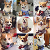 *Hot! Funny Rockstar With Guitar Costume For Dogs and Cats